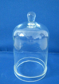 玻璃鍾罩（zhào）