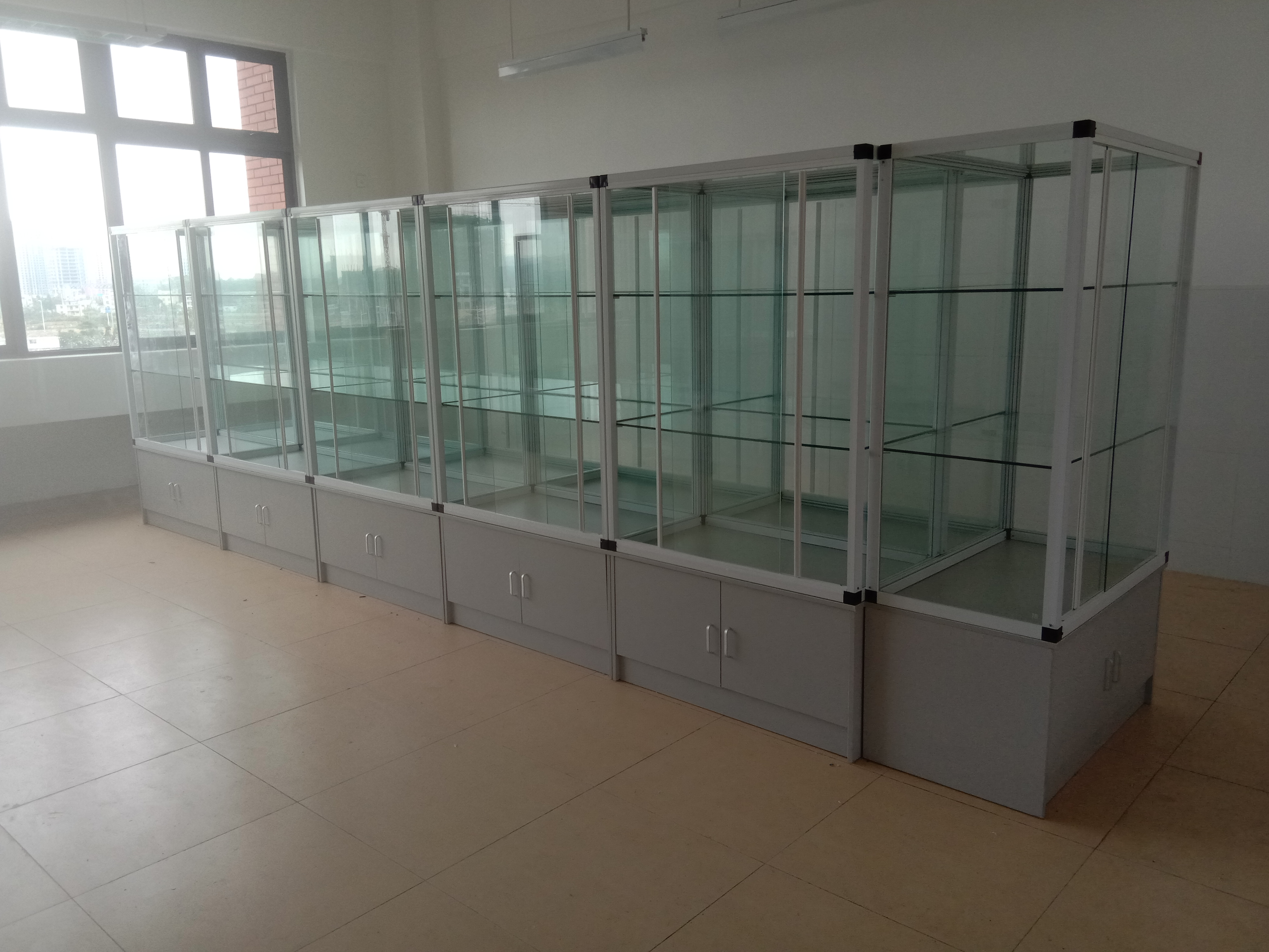 儀器櫃藥（yào）品櫃標本櫃