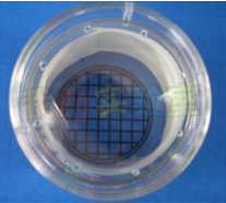 昆蟲觀察（chá）盒