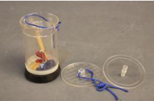 大氣壓係列（liè）實驗器