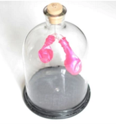 膈肌運動模（mó）擬器