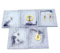 電場線演示器（qì）